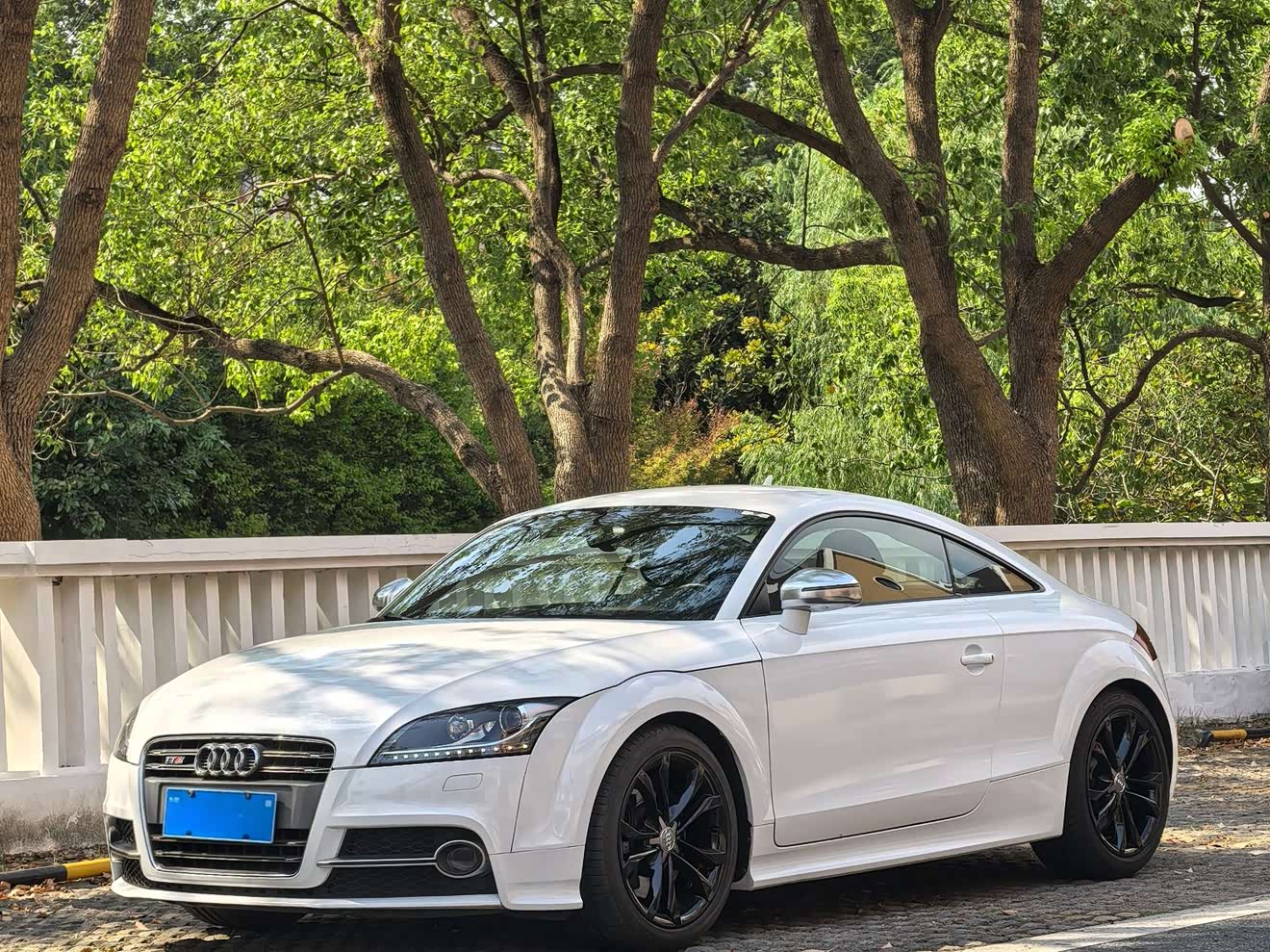 Audi TTS 2013 car image 