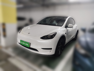 Tesla Model Y 2024 Tesla Model Y 2024 car image