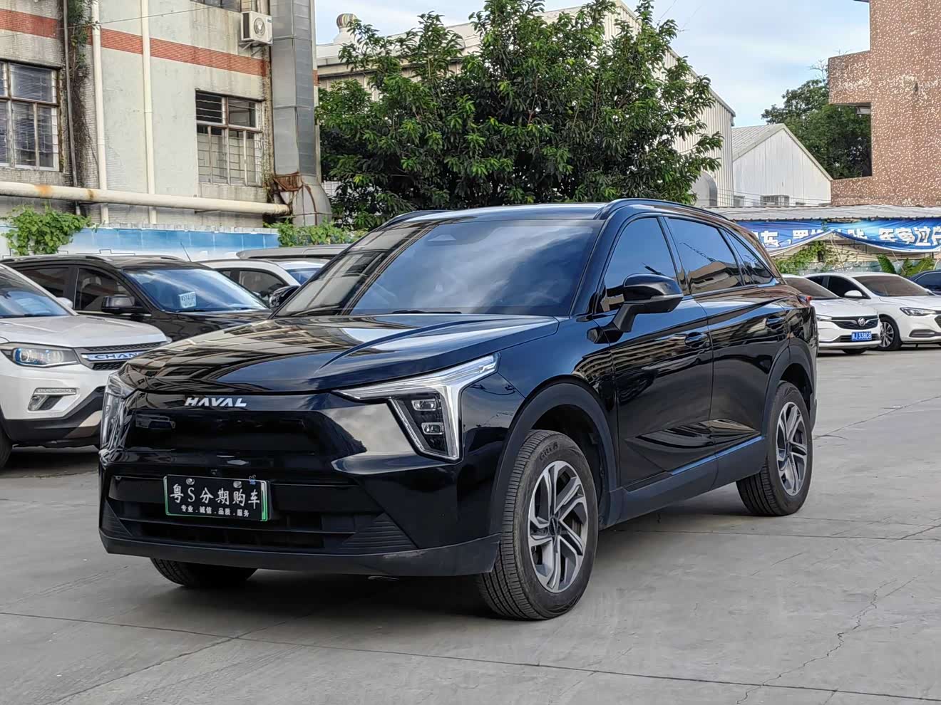 Haval Fierce Dragon 2024 car image 