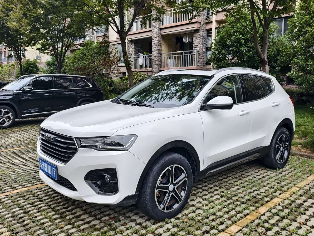Haval H4 2020 car image 