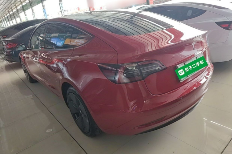 Tesla Model 3 2021 #5 Tesla Model 3 2021 car image #5