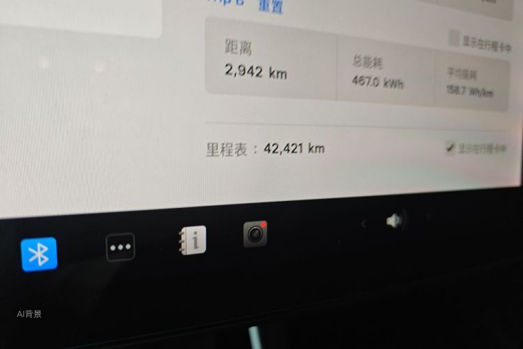 Tesla Model 3 2020 car image #14