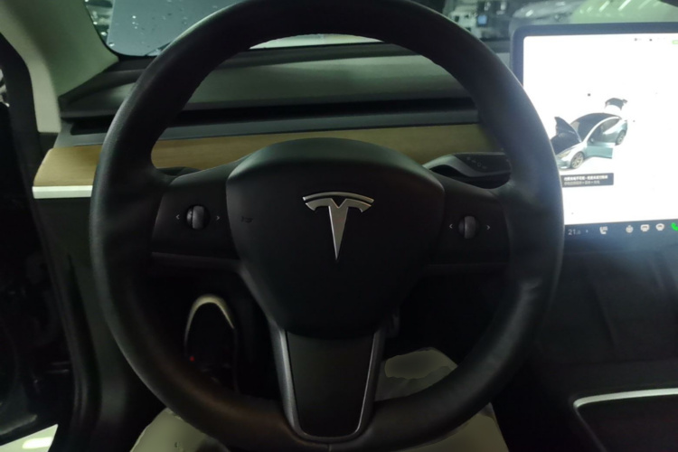 Tesla Model 3 2021 #11 Tesla Model 3 2021 car image #11
