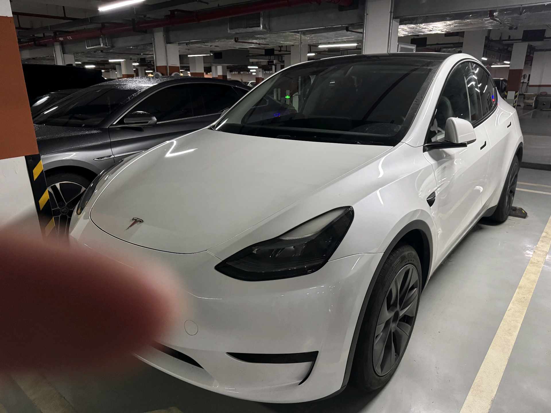 Tesla Model Y 2024 Tesla Model Y 2024 car image