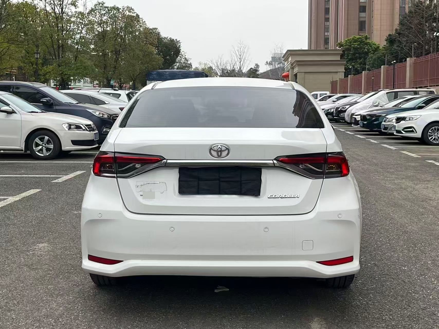 Toyota Corolla 2021 car image #7