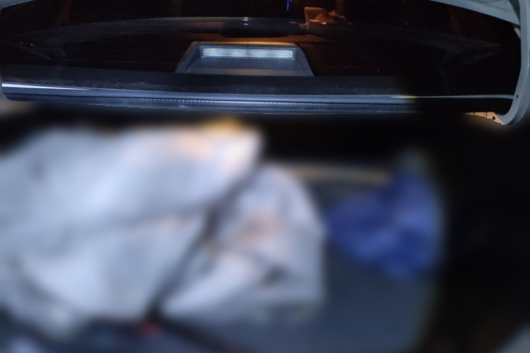 Toyota Corolla 2018 car image #17