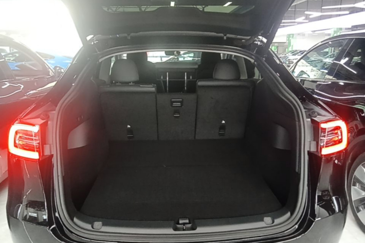 Tesla Model Y 2021 car image #19