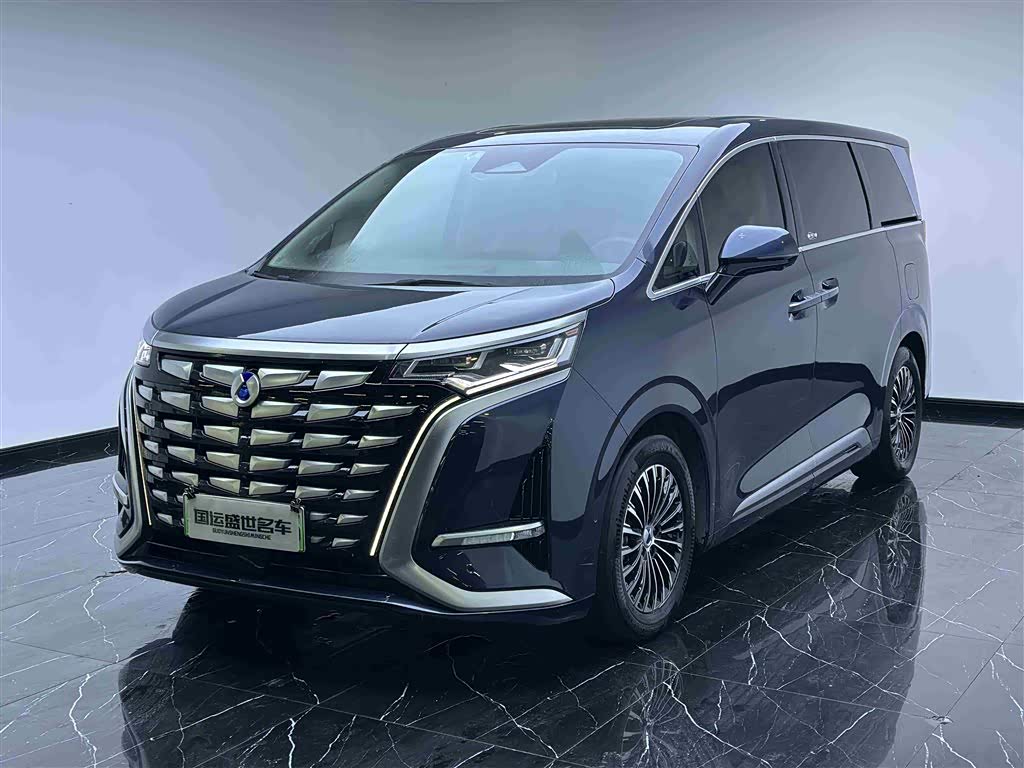 腾势 腾势D9 2023 汽车图片 