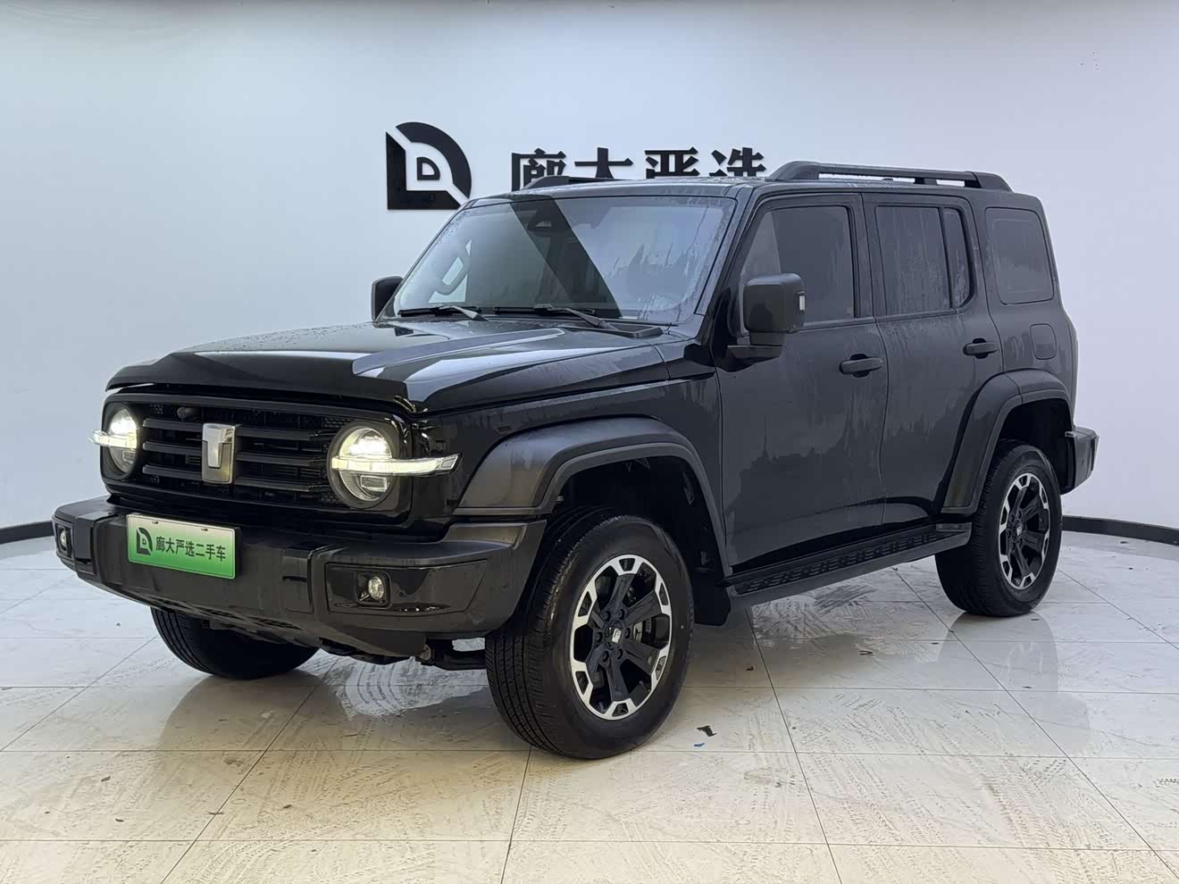 Tank 300 New Energy 2025 car image 