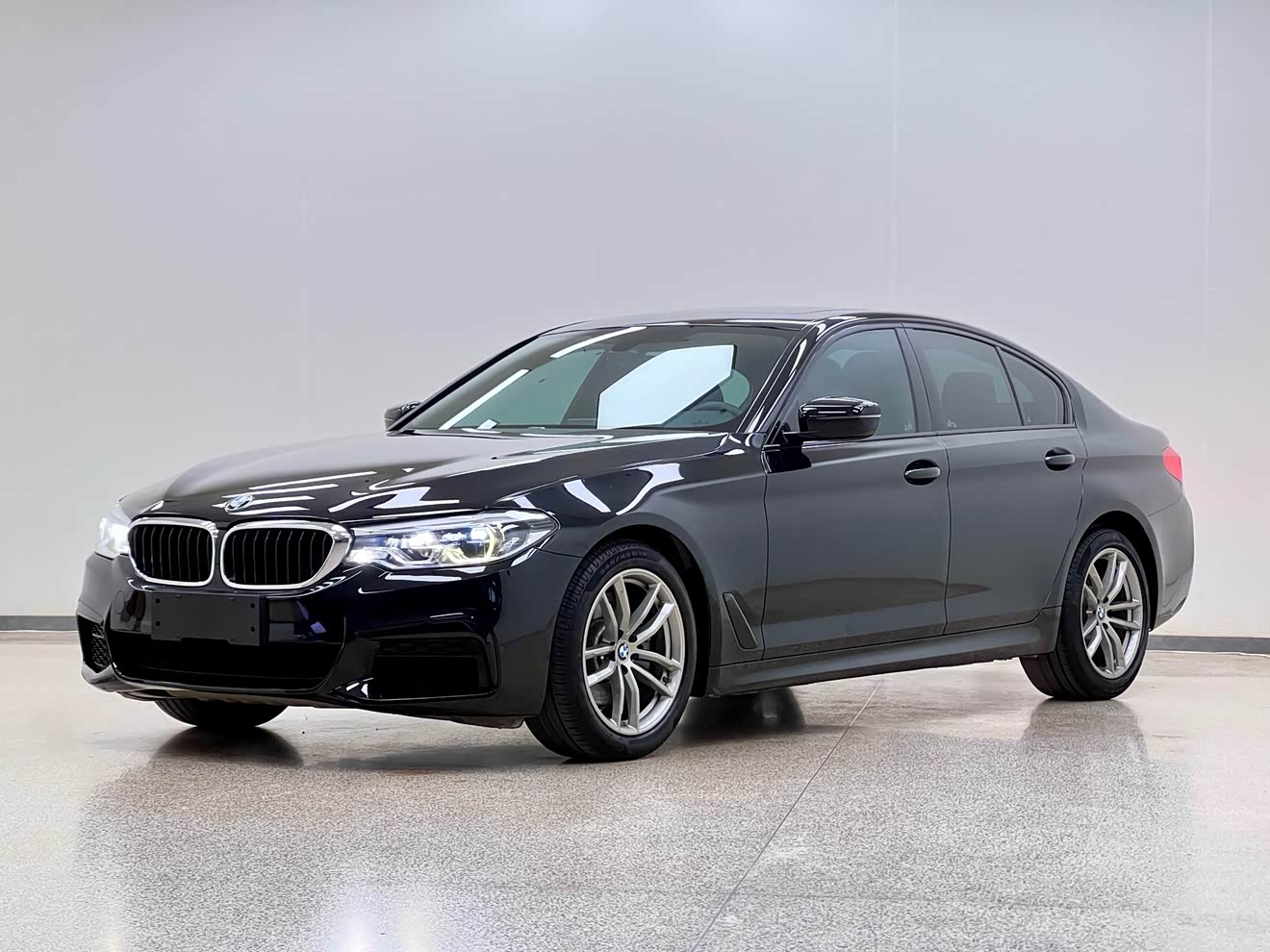 BMW 5 Series (Imported) 2019 car image 
