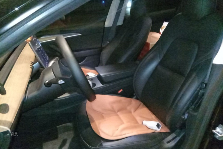 Tesla Model 3 2021 #17 Tesla Model 3 2021 immagine di auto #17