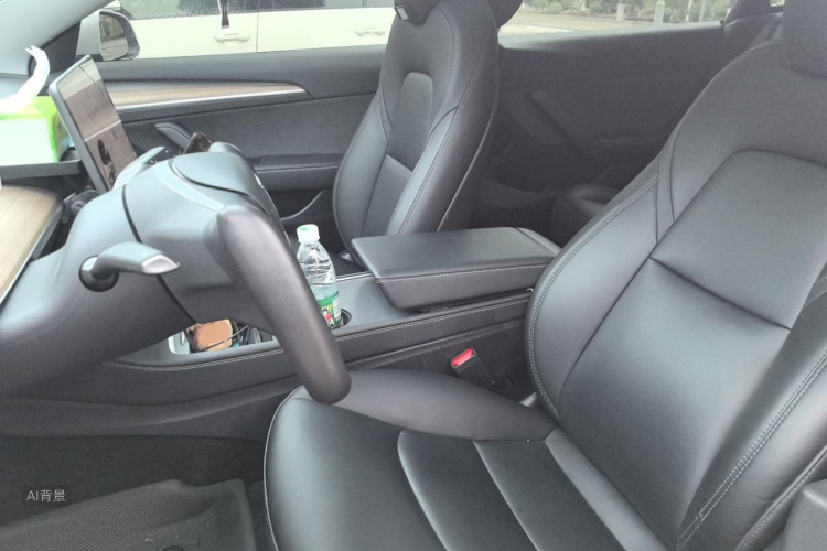 Tesla Model 3 2023 car image #17