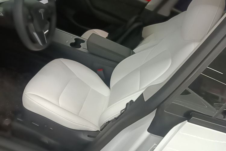 Tesla Model Y 2021 car image #15