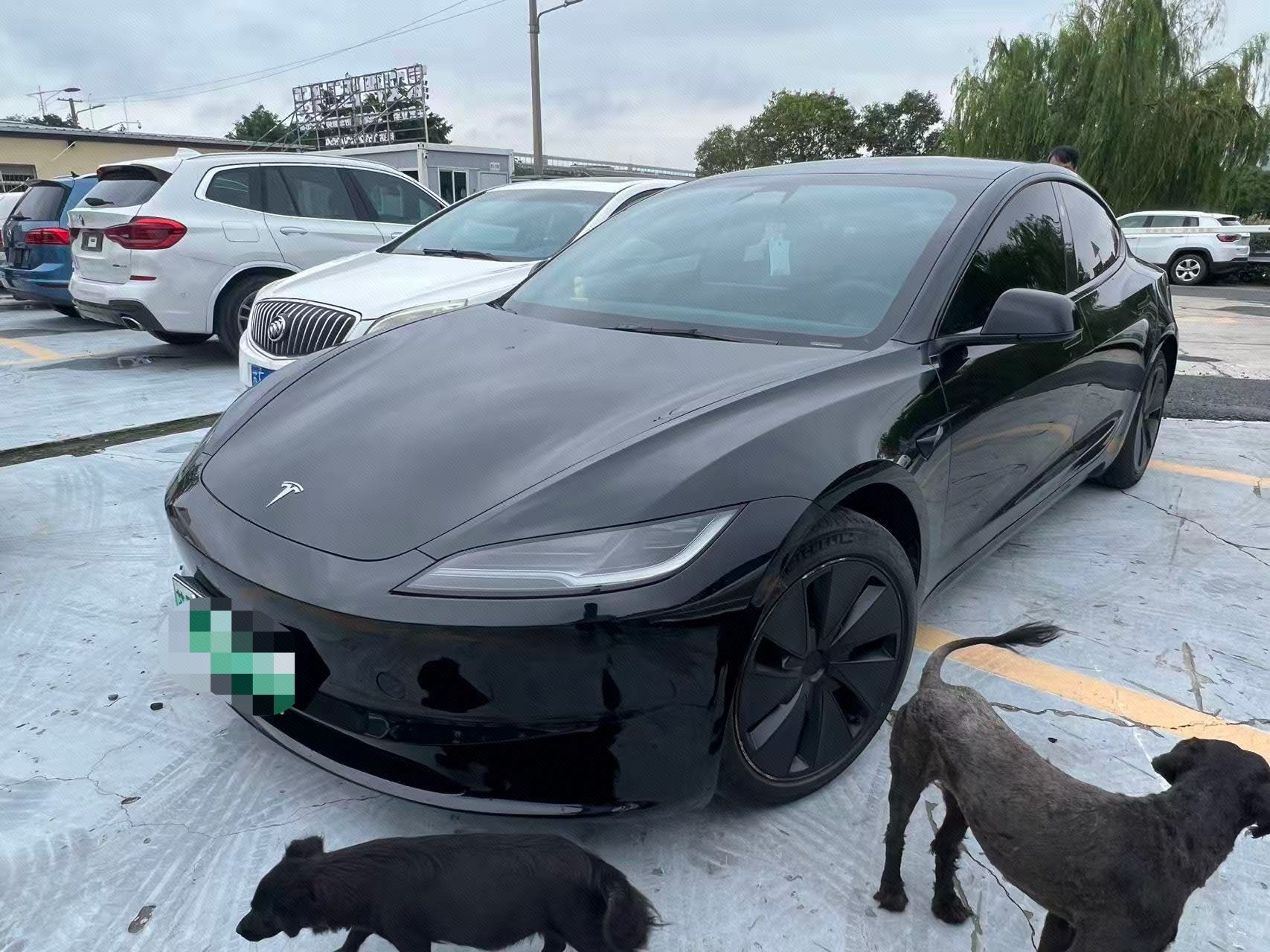 Tesla Model 3 2024 car image 