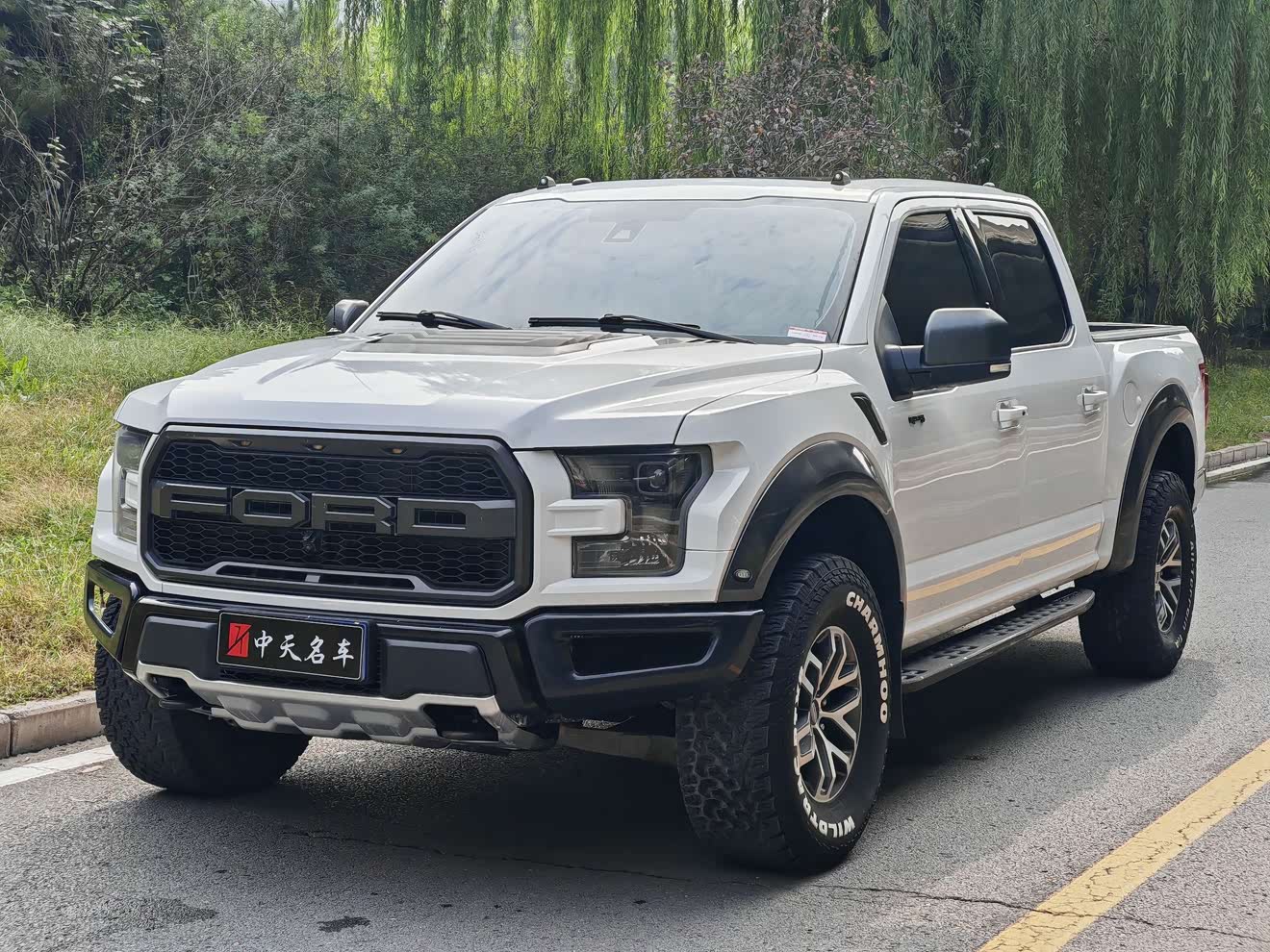 Ford F-150 Raptor 2018 car image 