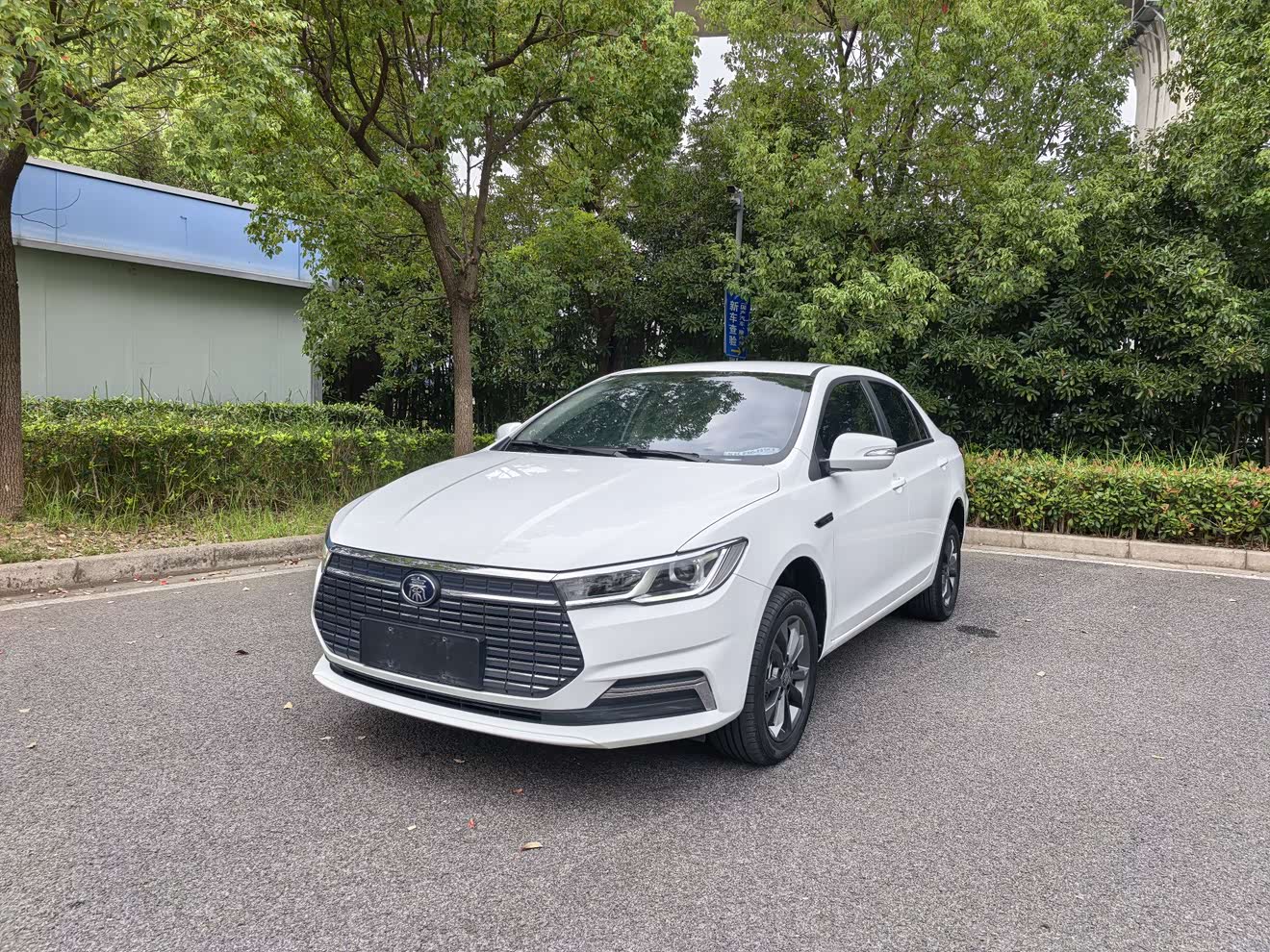 BYD Qin New Energy 2023 car image 