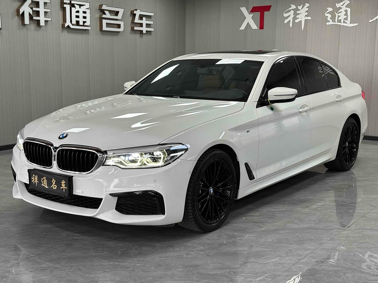 BMW 5 Series (Imported) 2019 car image 