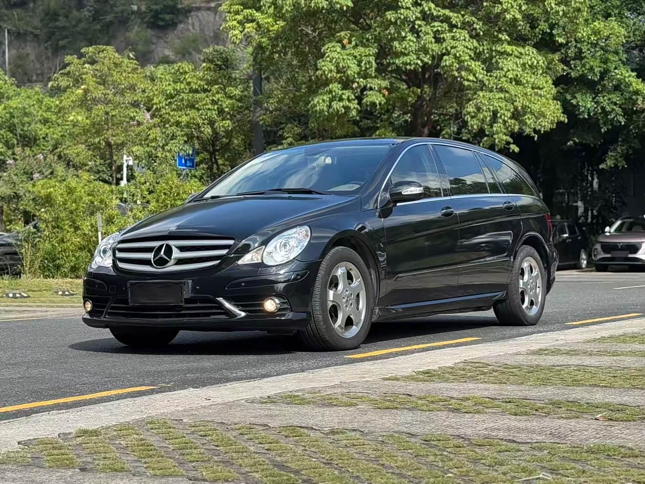 Mercedes-Benz R Class 2008 car image 