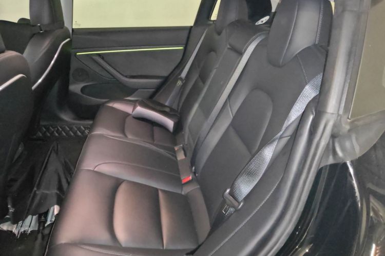 Tesla Model 3 2021 car image #19