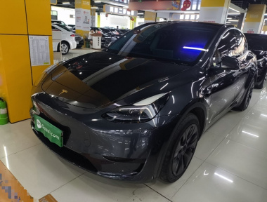 Tesla Model Y 2024 car image 