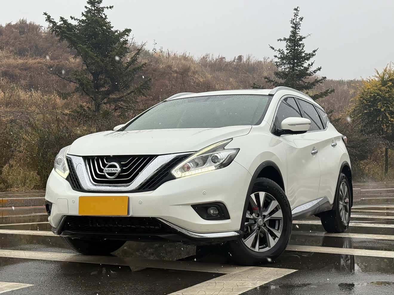 Nissan Murano 2016 汽车图片 