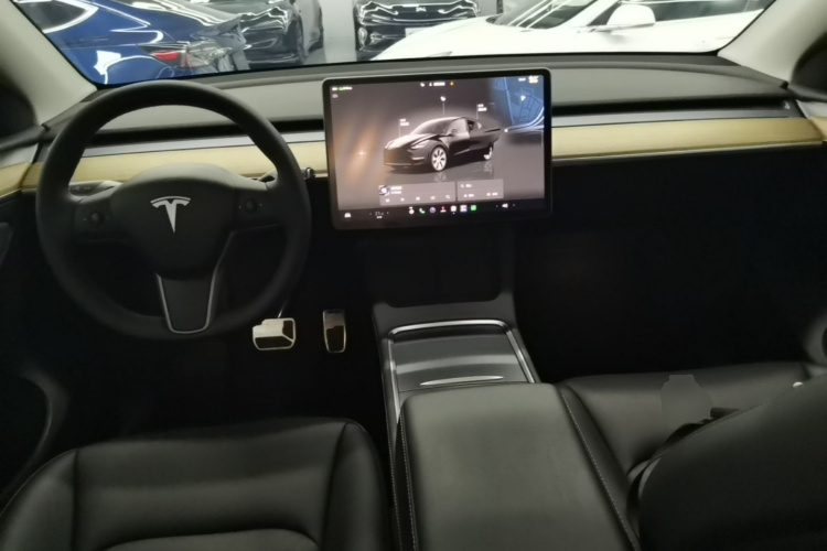 Tesla Model Y 2023 car image #10