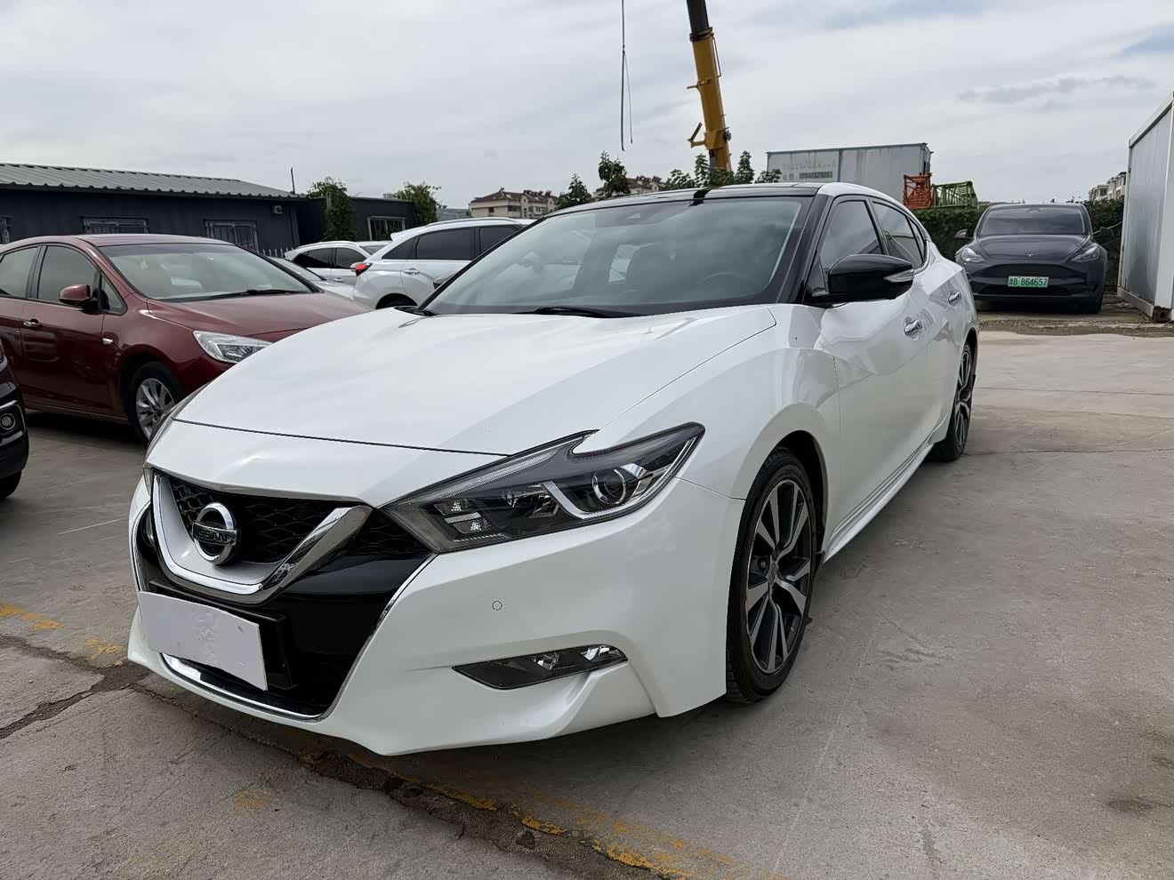 Nissan Maxima 2017 汽车图片 