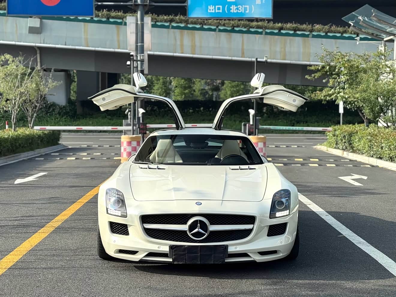 Mercedes-Benz SLS AMG 2013 Mercedes-Benz SLS AMG 2013 صورة سيارة