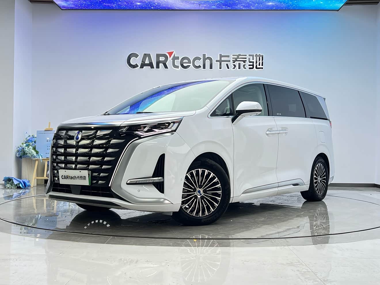 腾势 腾势D9 2023 汽车图片 