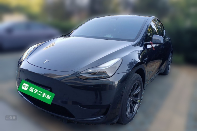 Tesla Model Y 2024 car image #2