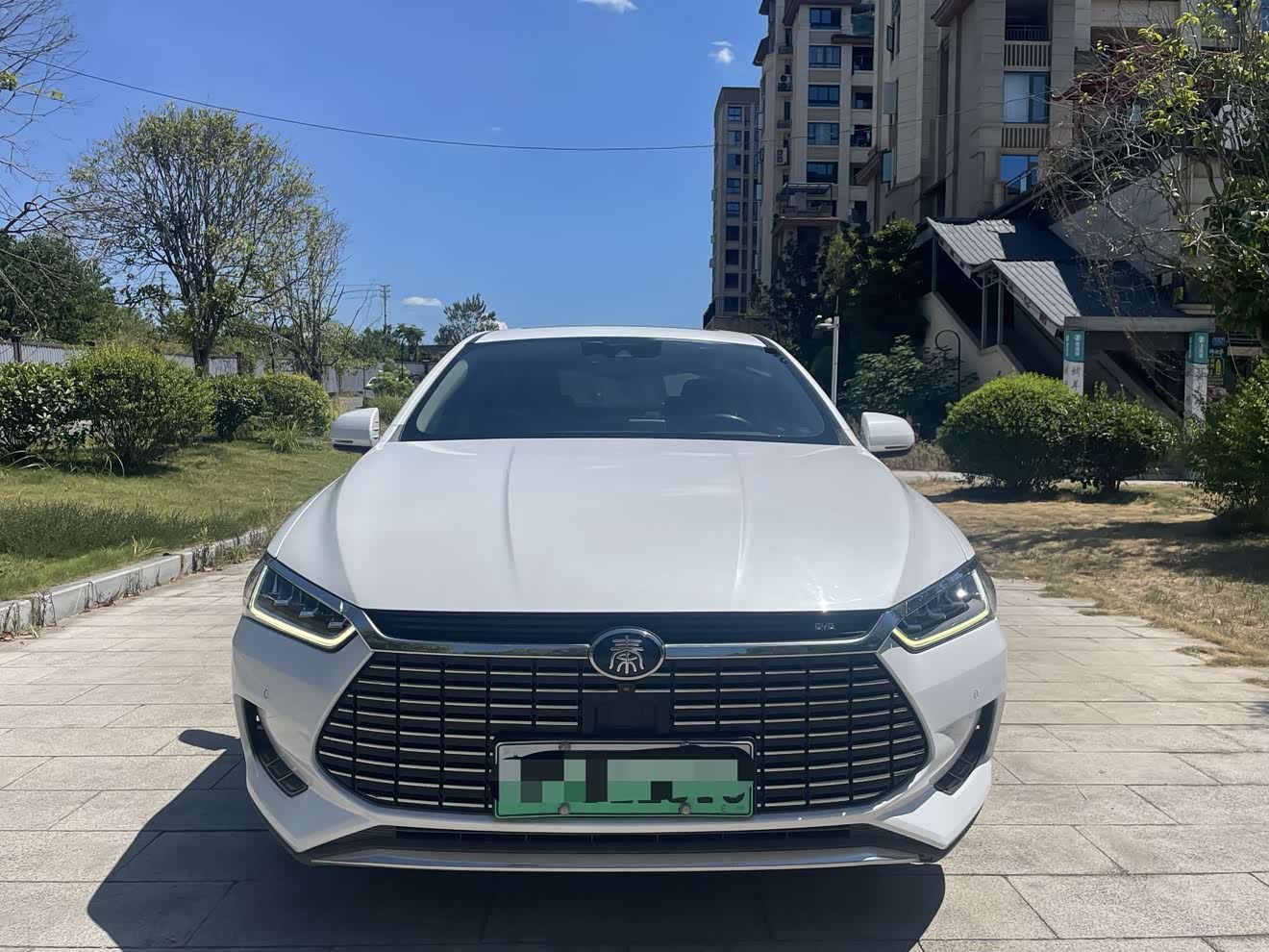 BYD Qin Pro New Energy 2019 car image 
