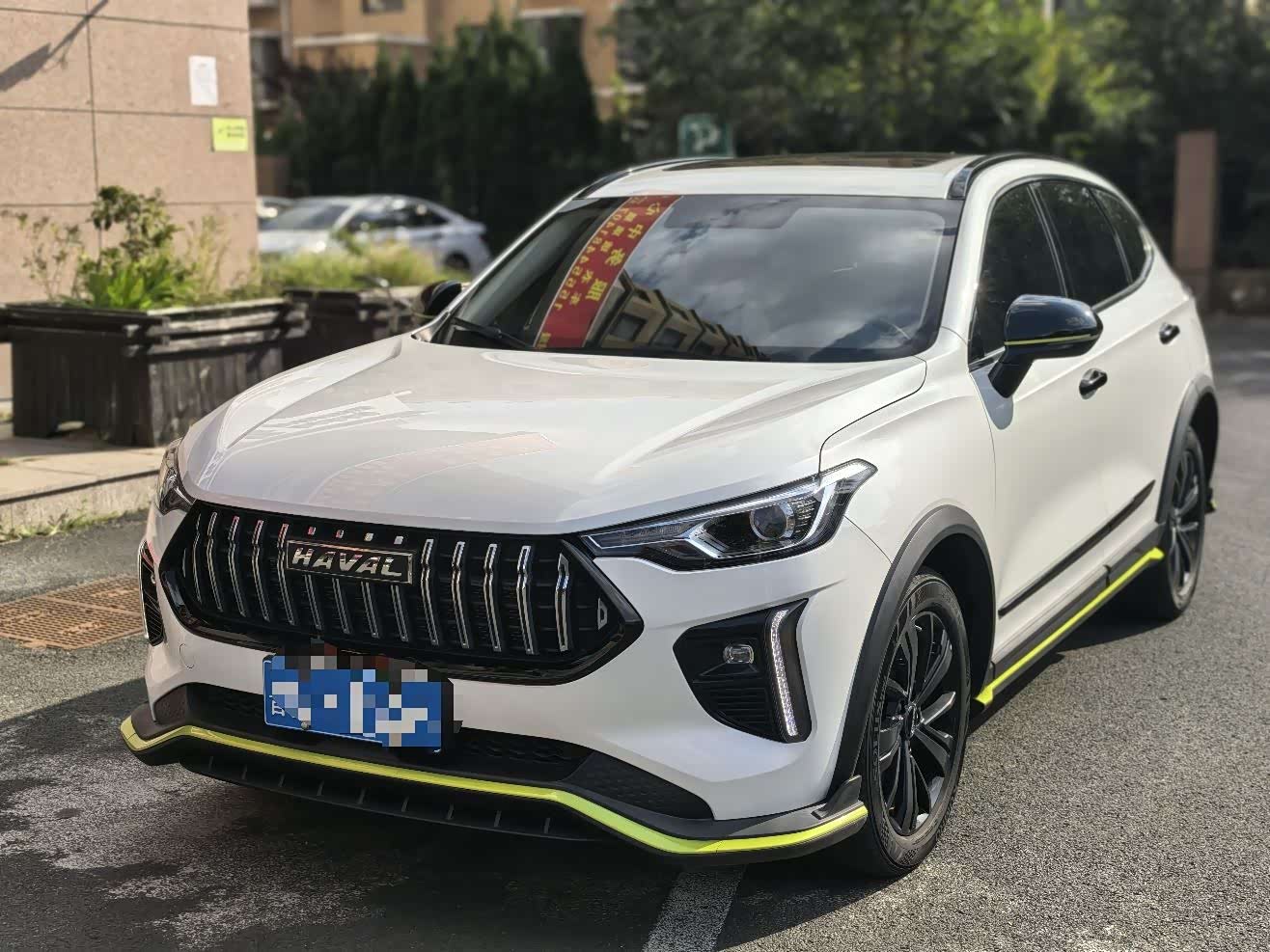 Haval Rabbit 2022 car image 