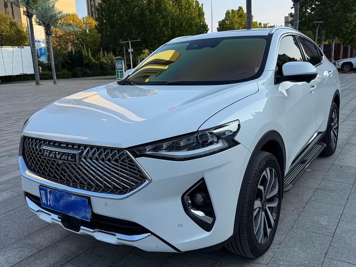 哈弗 哈弗F7x 2021 汽车图片 