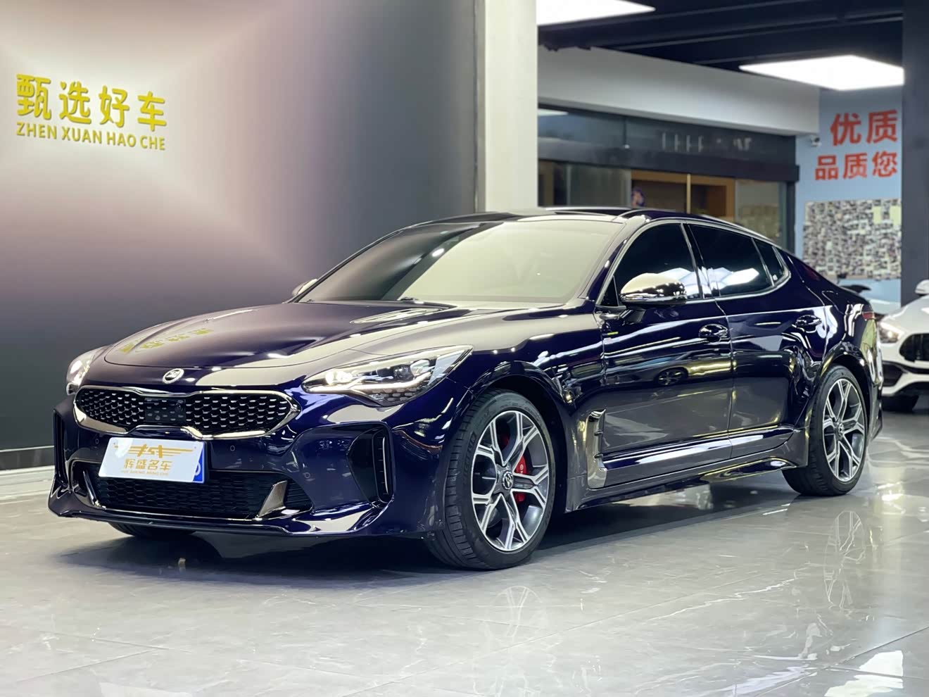 Kia Stinger 2018 汽车图片 