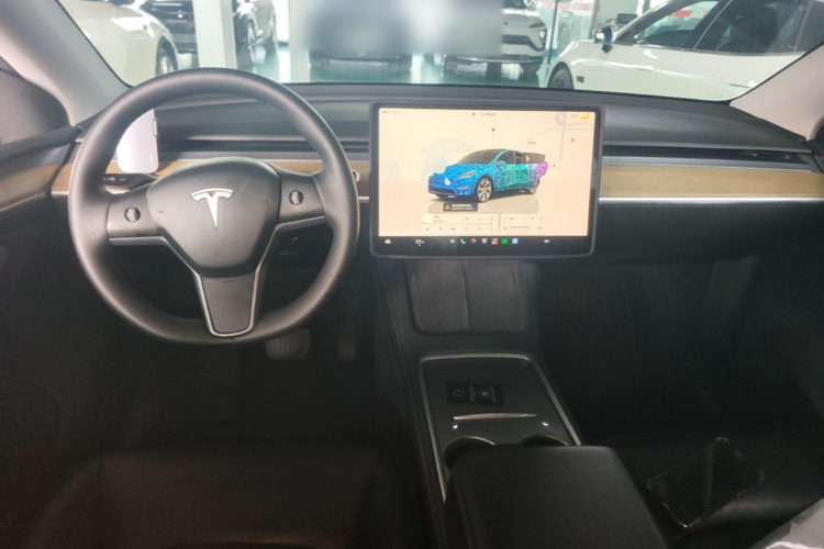 Tesla Model Y 2023 #10 Tesla Model Y 2023 imagen de coche #10