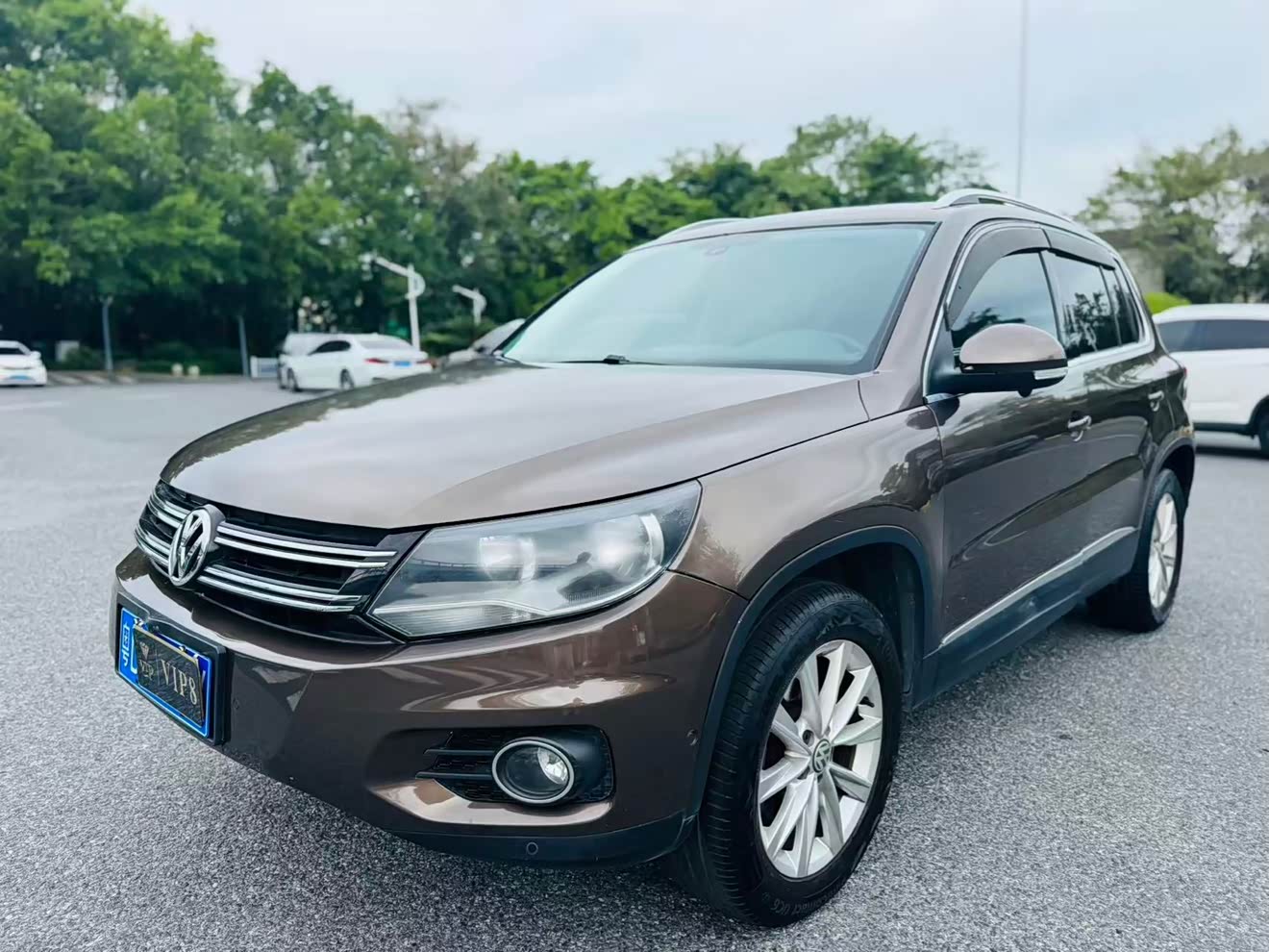 Volkswagen Tiguan 2013 汽车图片 