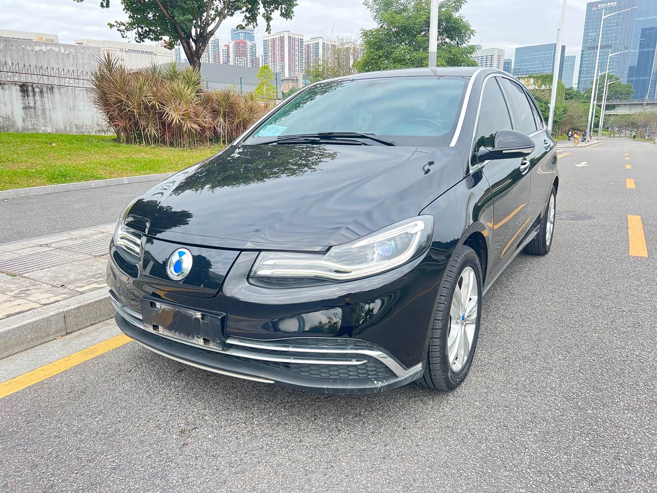 Denza DENZA 2019 car image 
