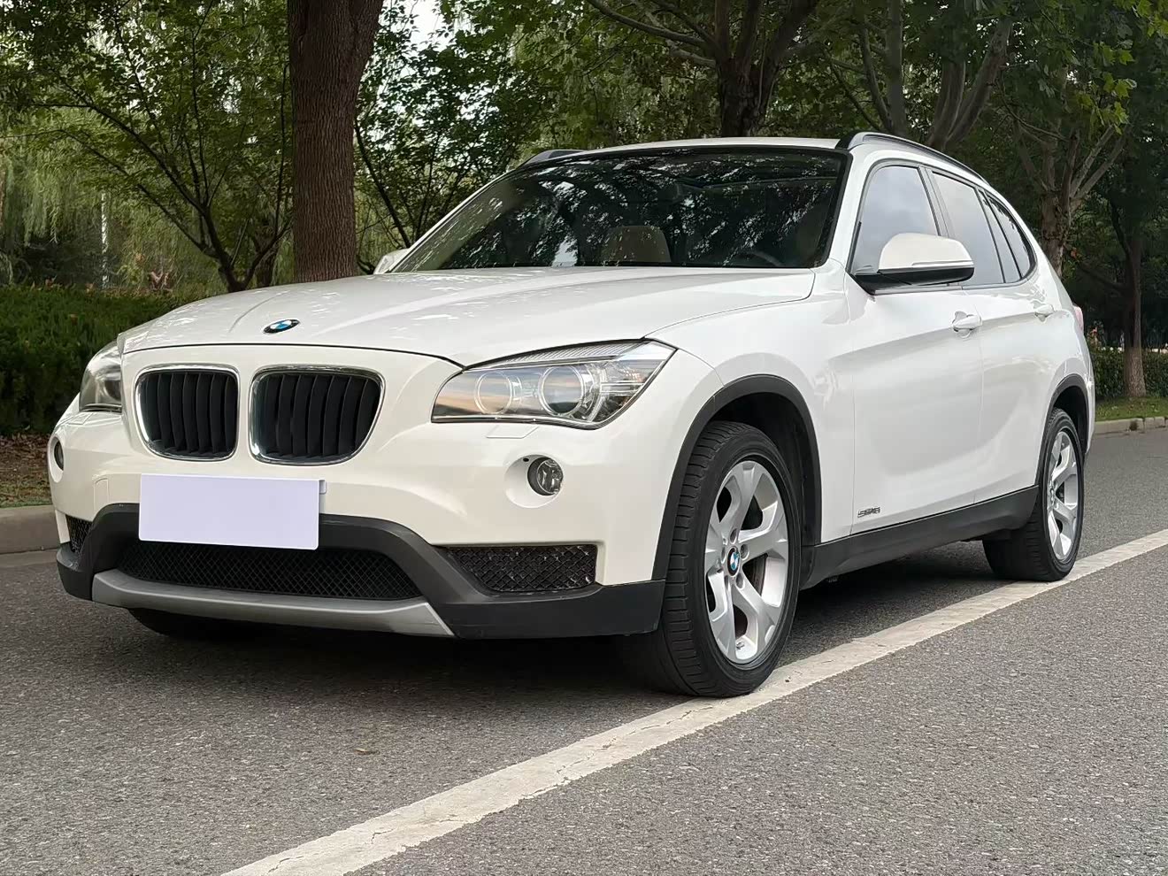 BMW X1 (Imported) 2012 car image 