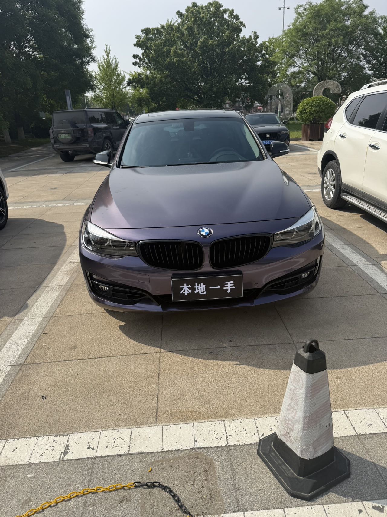 BMW 3 Series GT 2018 car image #4