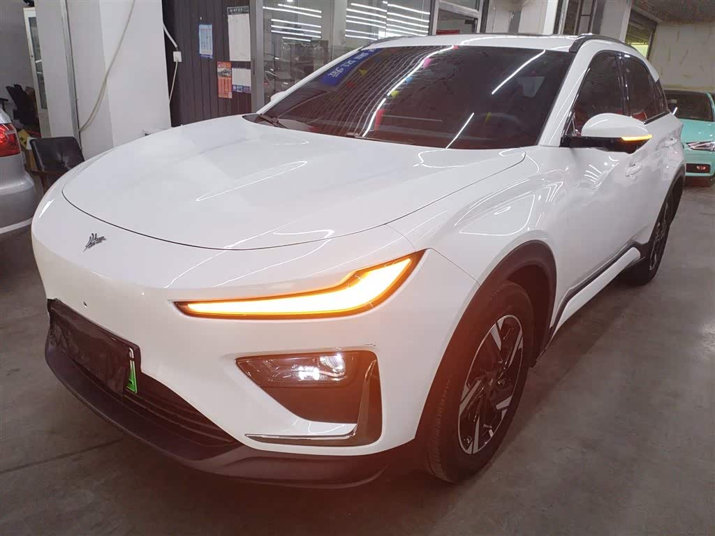 Neta X 2024 汽车图片 