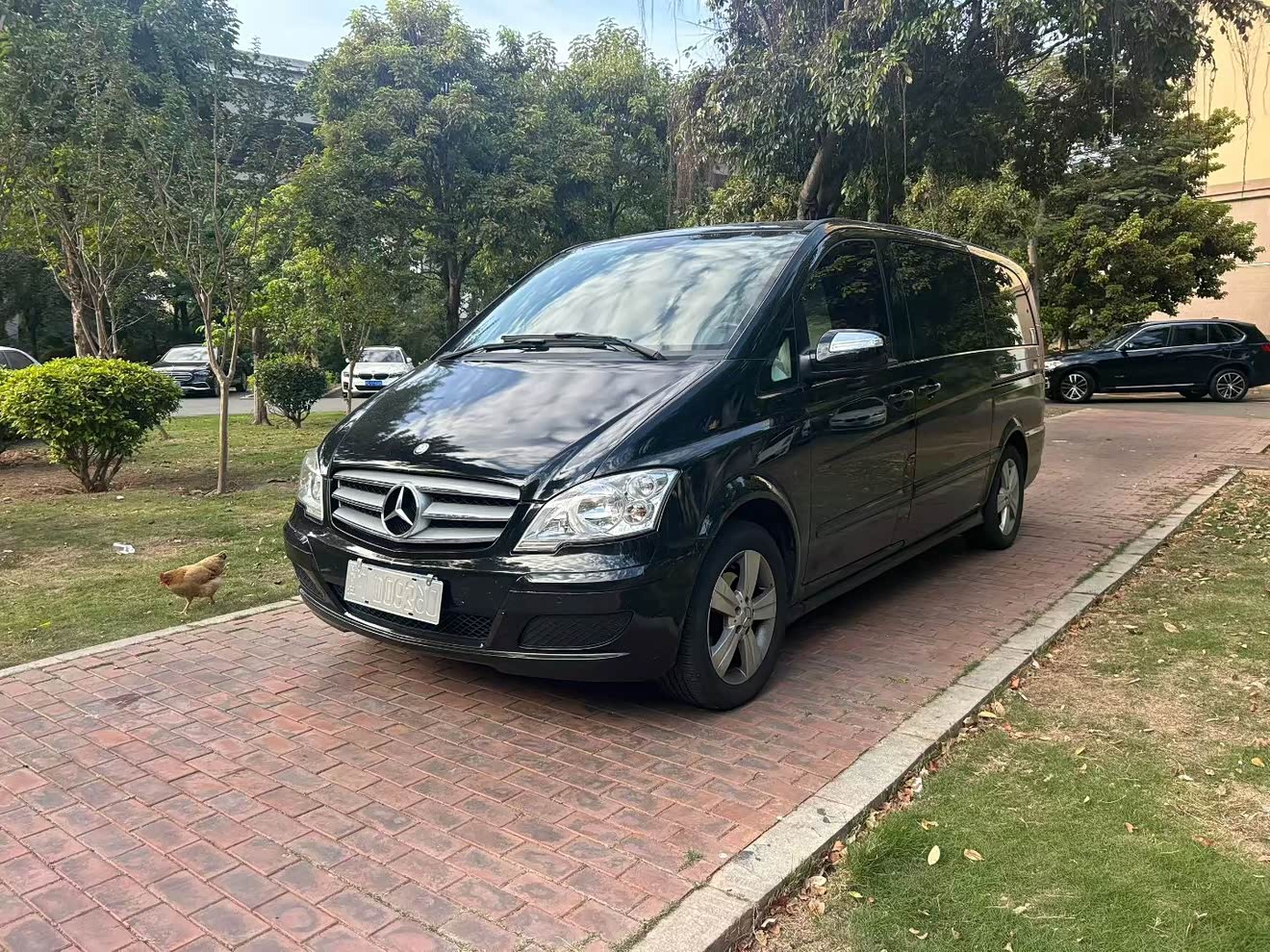 Mercedes-Benz Viano 2016 汽车图片 