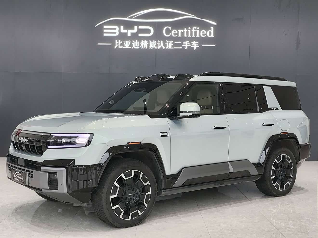 FangChengBao Leopard 8 2025 car image 