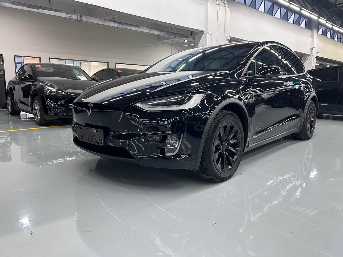 Tesla Model X 2019 Tesla Model X 2019 car image