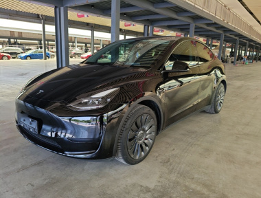 Tesla Model Y 2022 car image 