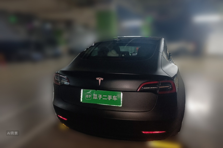 Tesla Model 3 2021 car image #6