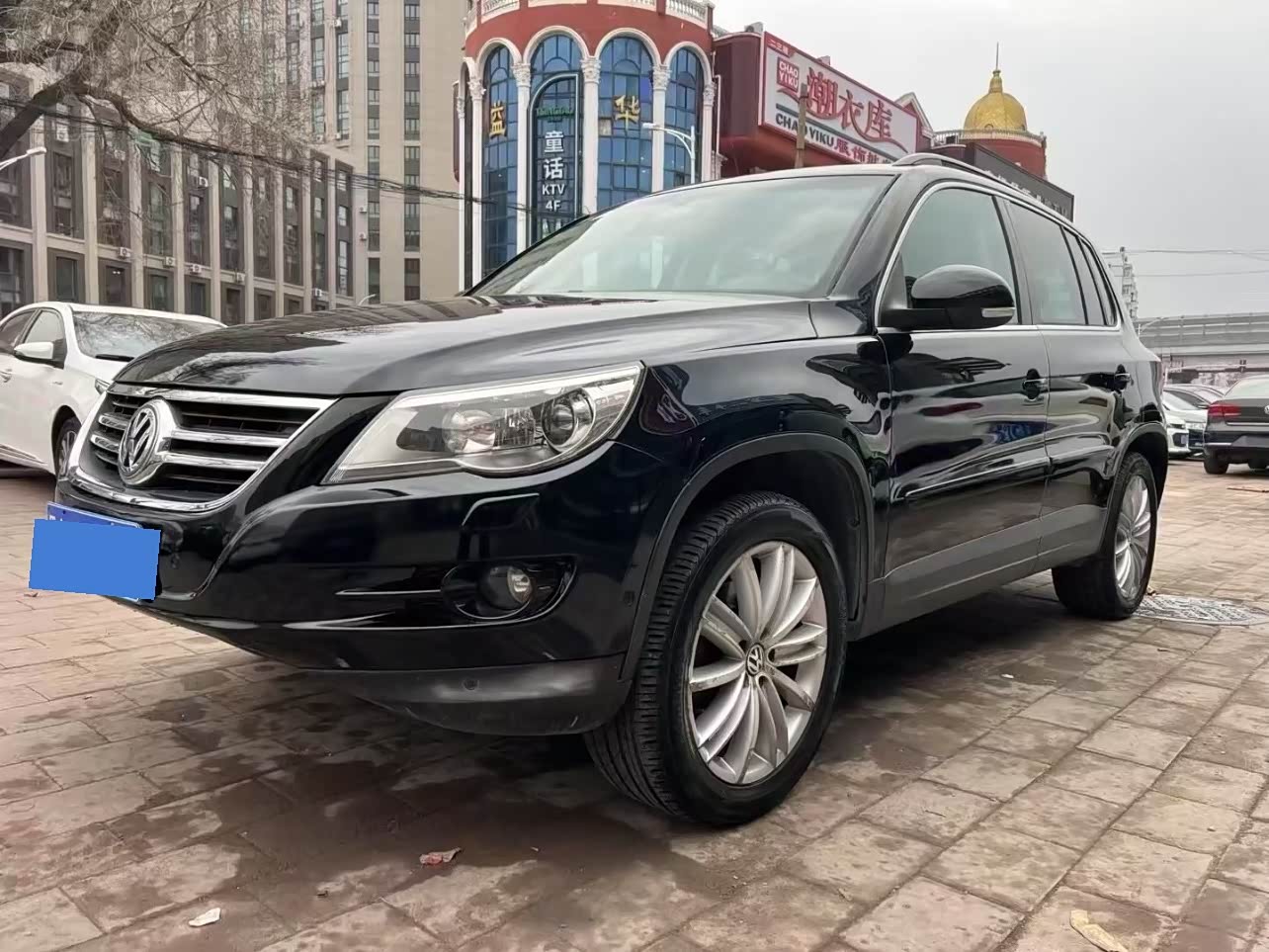 Volkswagen Tiguan 2010 汽车图片 