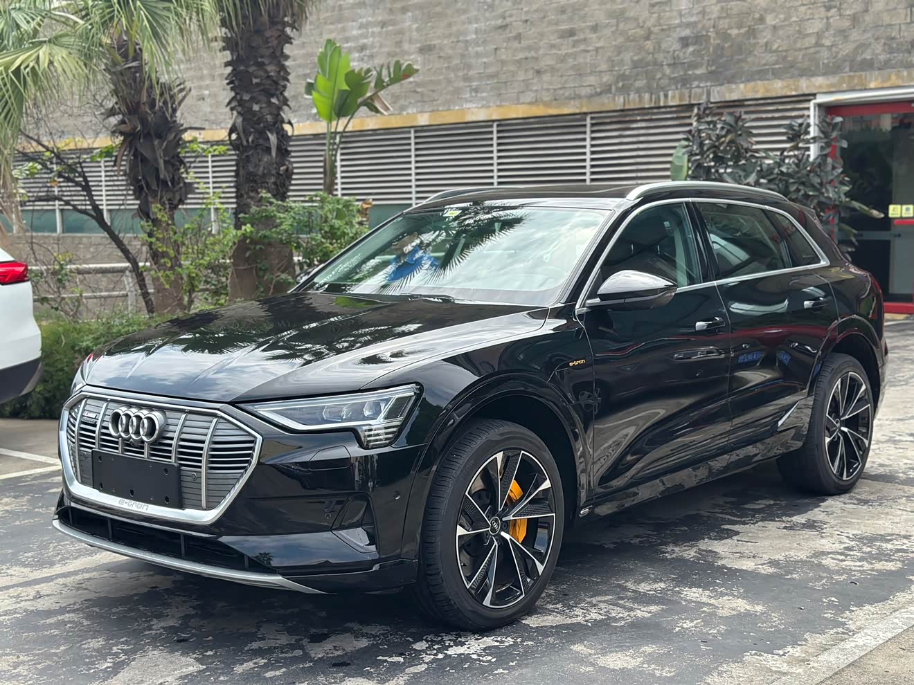 Audi e-tron (Imported) 2020 car image 