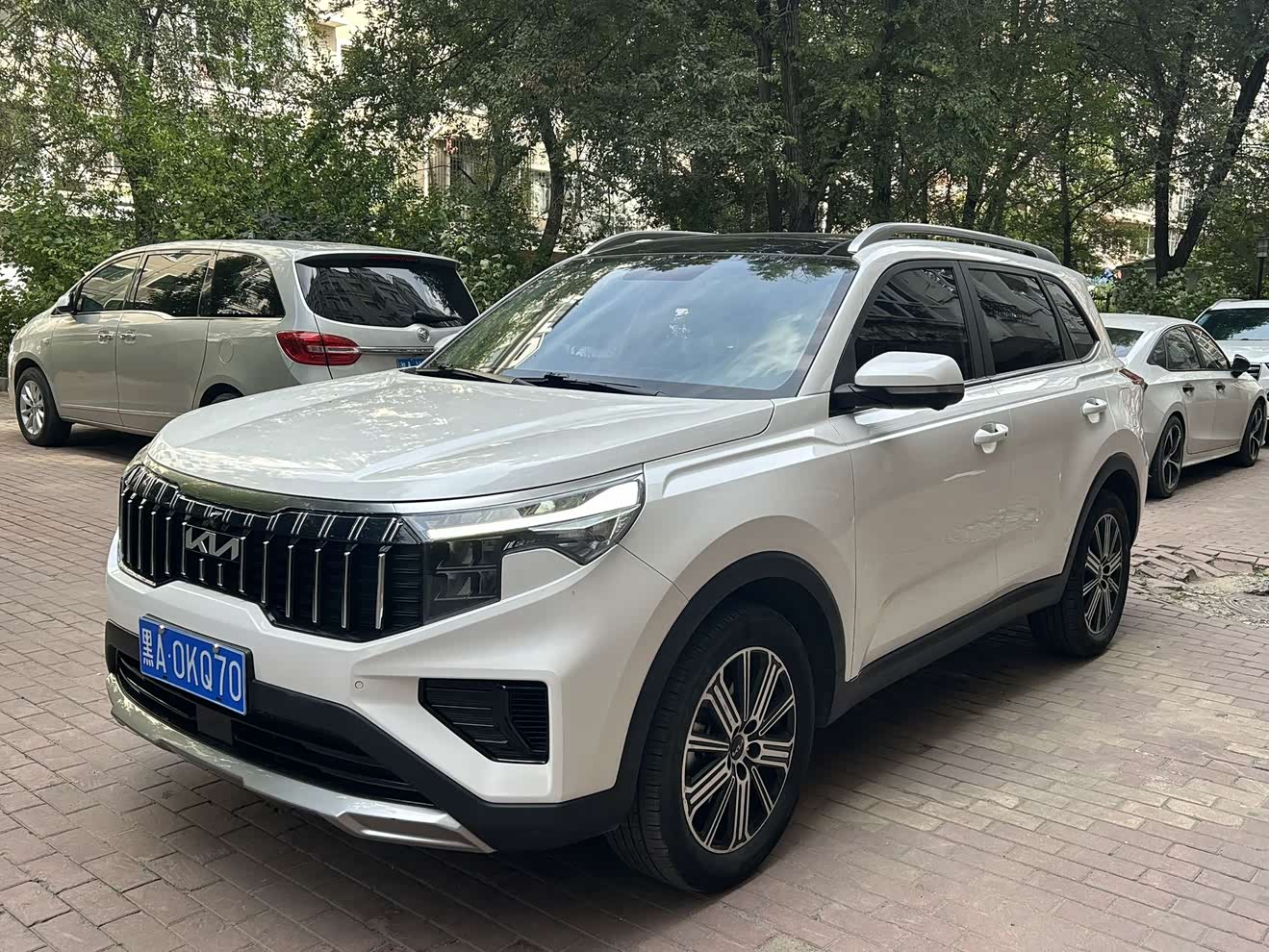 起亚 智跑 2022 汽车图片 