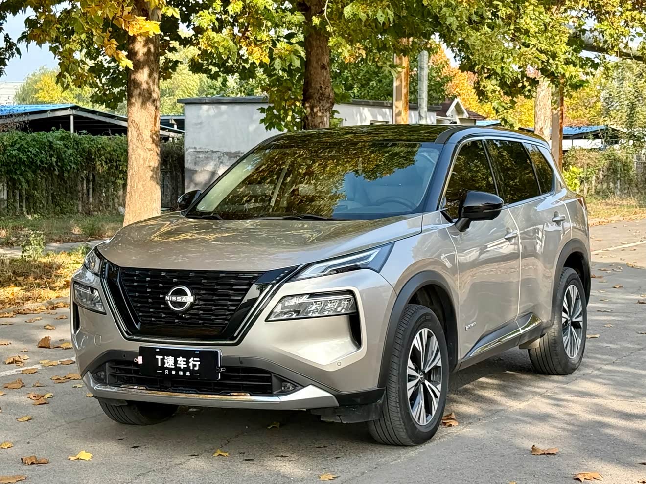 Nissan X-Trail 2023 汽车图片 