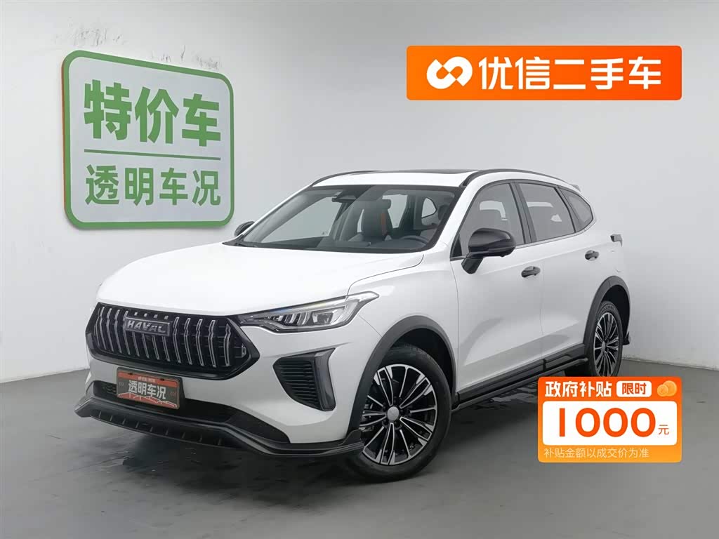 Haval Rabbit 2024 car image 